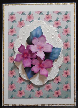 Hibiscus Backing Sheet by Yvonne Middleton