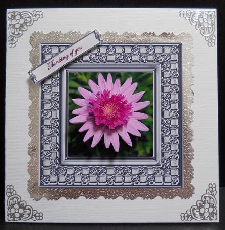 A Marguerite - 'bridesmaid' Flower by Yvonne Middleton