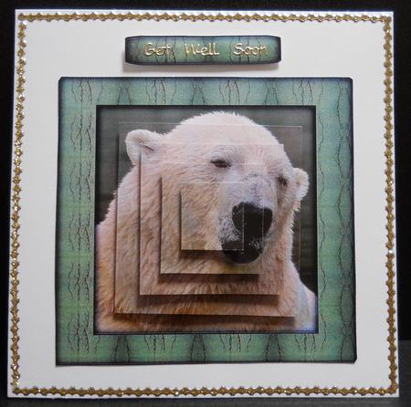 Bear Series - Polar Bear by Yvonne Middleton