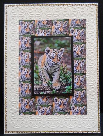 Tiger Cub Backing Sheet by Yvonne Middleton