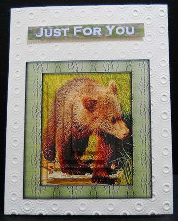 Young Wild Animal Series - Brown Bear Cub by Yvonne Middleton