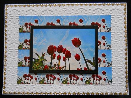 Tulips Backing Sheet by Yvonne Middleton