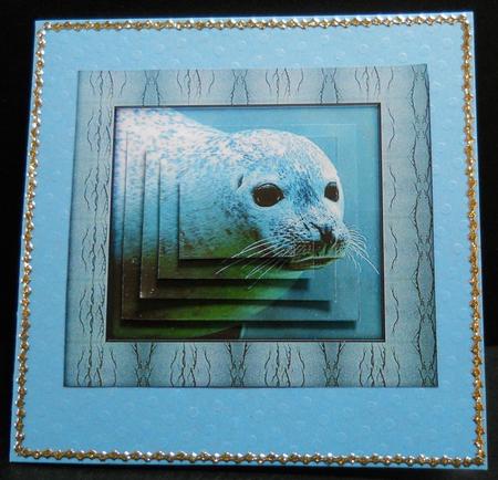 Marine Life Series - Seal by Yvonne Middleton