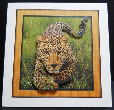Wild Animal Series - Jaguar - Decoupage by Yvonne Middleton