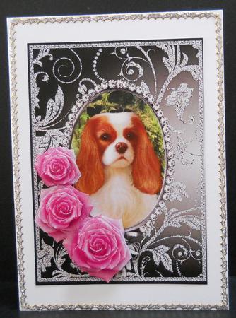 Pink Roses - King Charles Spaniel Silver Gunmetal Card Front by Yvonne Middleton
