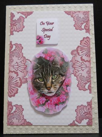 Red Check Damask Edge A4 Backing Paper by Yvonne Middleton