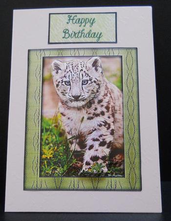 Young Wild Animal Series - Snow Leapord Cub - Decoupage by Yvonne Middleton