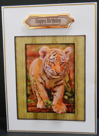 Young Wild Animals Series - Tiger Cub - Decoupage by Yvonne Middleton