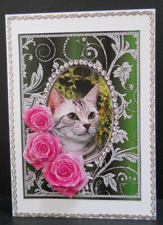Pink Roses - Tabby Kitty Cat - Silver Green Card Front by Yvonne Middleton