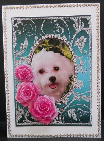 Pink Roses - White Puppy Dog - Silver Jade Card Front by Yvonne Middleton