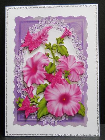 Pink Petunias by Yvonne Middleton
