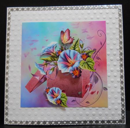Boxed Morning Glory by Yvonne Middleton