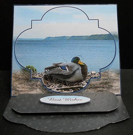 Mississippi Ducks 2 Card Sheet, Envelope to Match is Availab by Yvonne Middleton