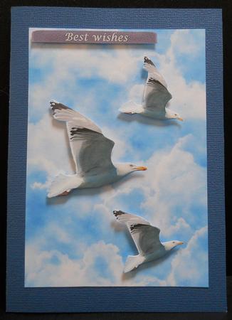 Clouds and Seagulls by Yvonne Middleton