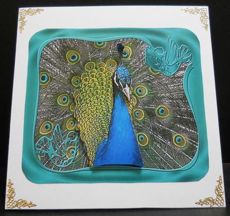 Peacock Decoupage by Yvonne Middleton