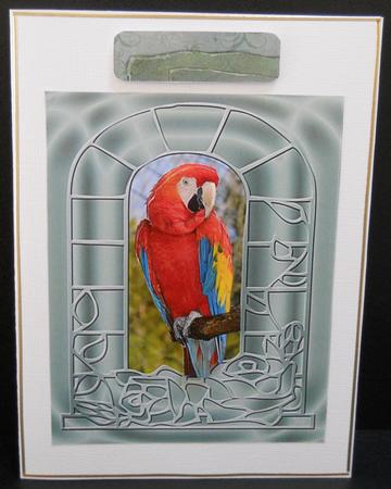 A Scarlet Macaw - Decoupage by Yvonne Middleton