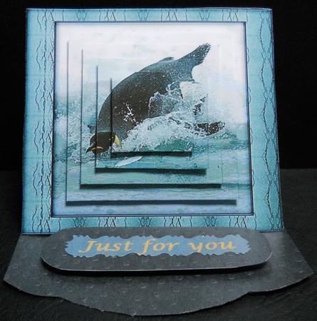 Splash in I Go - Penguin Pyramid by Yvonne Middleton