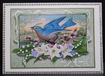 Vintage Bird in Floral Frame by Yvonne Middleton