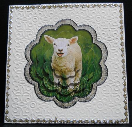 Cute Lamb by Yvonne Middleton