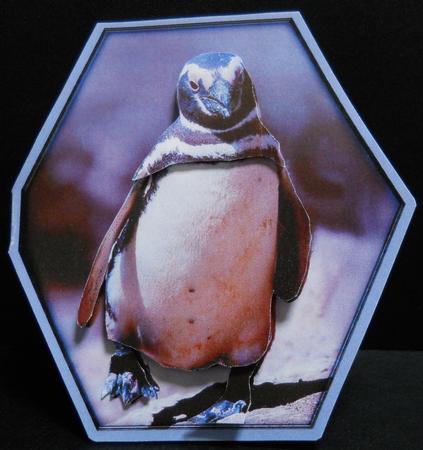 Penguin - Hexagon Decoupage Card by Yvonne Middleton