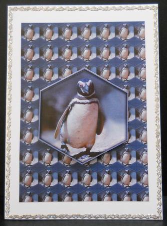 Penguin Backsheet by Yvonne Middleton