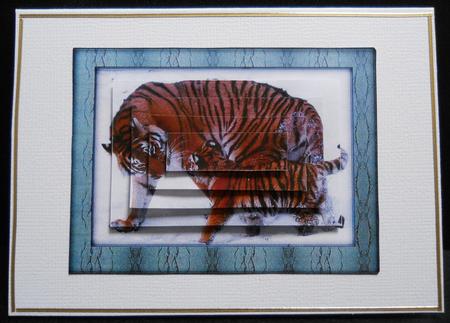 Big Cats Series - Tigress and Cub - Pyramid by Yvonne Middleton