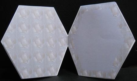 Penguin Hexagon Card Insert by Yvonne Middleton