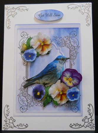 Blue Bird Multi Sentiment Pansies by Yvonne Middleton