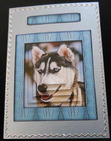 Husky Series - Black and White - Pyramid by Yvonne Middleton