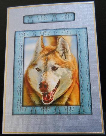 Husky Series - Red Husky - Decoupage by Yvonne Middleton