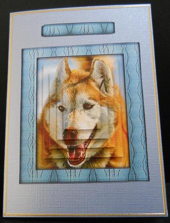 Husky Series - Red Husky - Pyramid by Yvonne Middleton