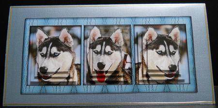 Husky Series - Trio - Pyramid by Yvonne Middleton