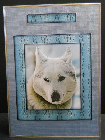 Husky Series - White Husky - Decoupage by Yvonne Middleton