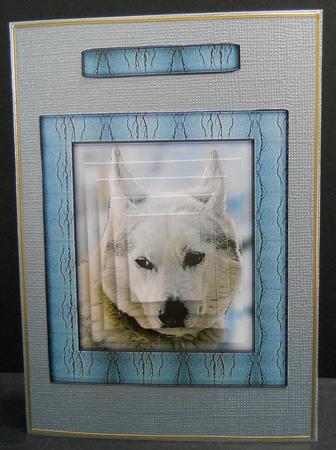 Husky Series - White Husky - Pyramid by Yvonne Middleton