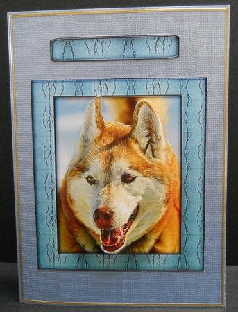 Wild Animal Series - Wolf - Decoupage by Yvonne Middleton