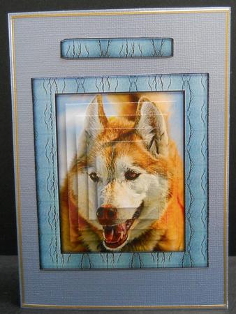 Wild Animal Series - Wolf - Pyramid by Yvonne Middleton