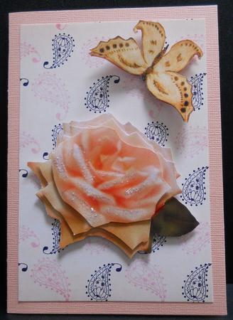 Passionatly Paisley Paisley by Yvonne Middleton