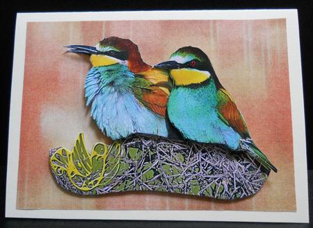 Simply Soft Backing by Yvonne Middleton