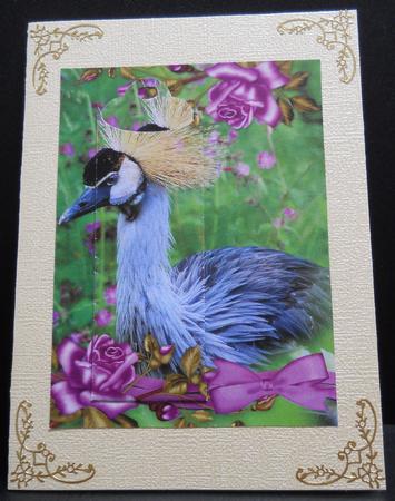Posh Bird Birthday Bookmark Card by Yvonne Middleton