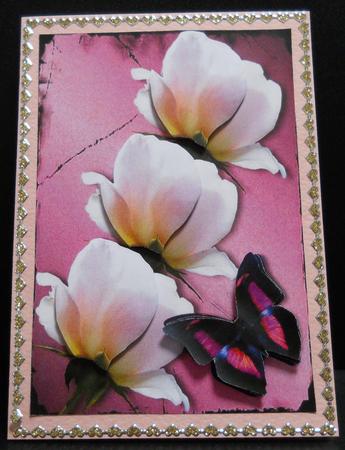 Sweet Rose and Butterfly Pink by Yvonne Middleton