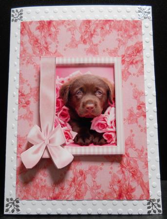 Floral Backing Sheets by Yvonne Middleton