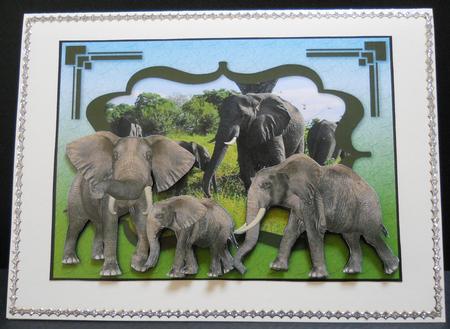 Africa - Elephants by Yvonne Middleton