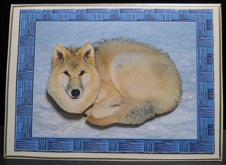 Artic Wolf by Yvonne Middleton