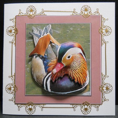 Digital Painting - Mandarin Duck by Yvonne Middleton