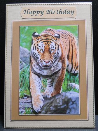 Digital Painting - Siberian Tiger by Yvonne Middleton
