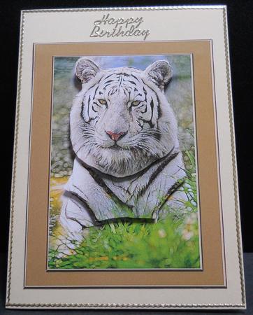 Digital Painting - White Tiger by Yvonne Middleton