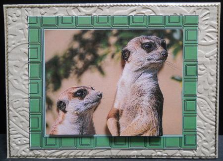 Meerkats - Hey Mum by Yvonne Middleton