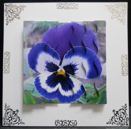 Blue Pansy Square Wavy Side Stacker by Yvonne Middleton