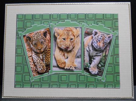 We Three Cubs, Here We Come. by Yvonne Middleton