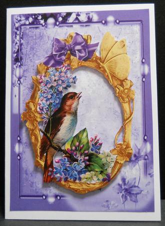 Purple Floral Frame by Yvonne Middleton